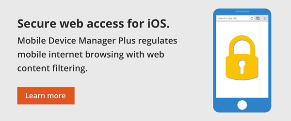 Secure web access for iOS.