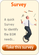 What do you expect of a BSM?